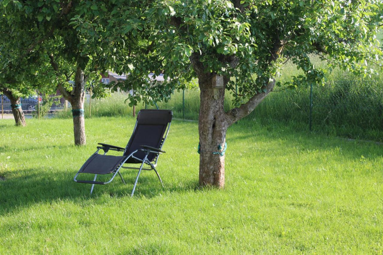 Apartment Am Kugelbaum Lunzenau